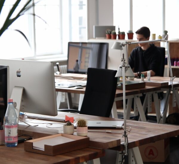 juridiskās adreses noma